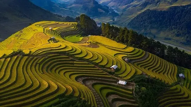 Vietnam